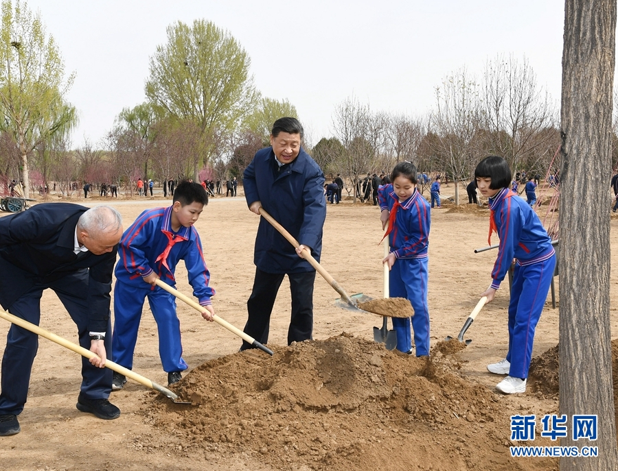 席大大：推动国土绿化不断取得实实在在的成效