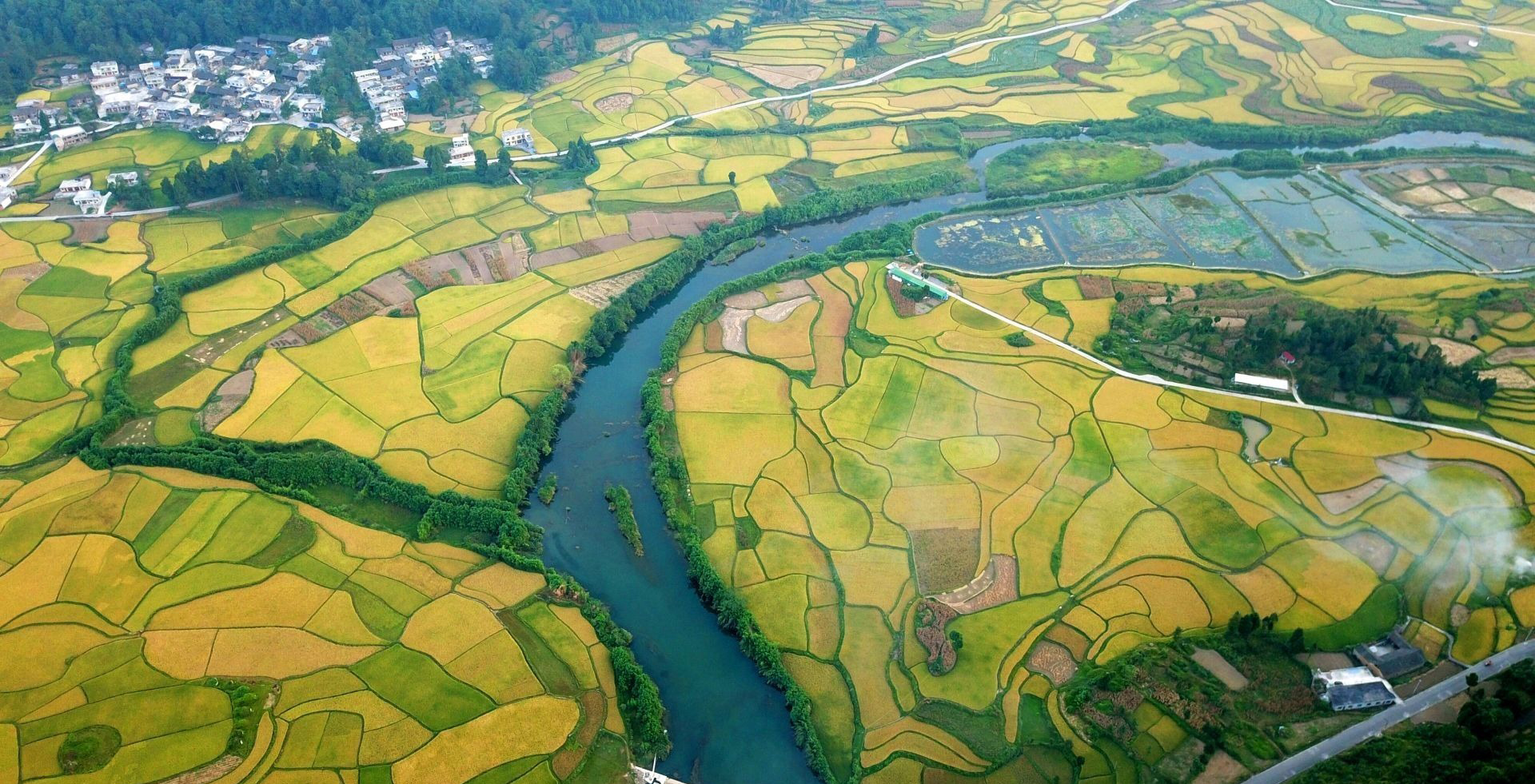 【专家视角】人工湿地建得好还要管得好