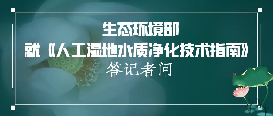 政策解读 | 稳定人工湿地水质净化效果，实现长期有效运行